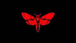 Lil Wayne - Romance (Explicit)