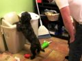 Magnum In Time Out