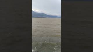 Download lagu Pantai Talise Palu Sore Hari,, #youtubeshorts #palu #travel mp3