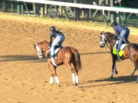 Vicar's in Trouble - 4/26/2014