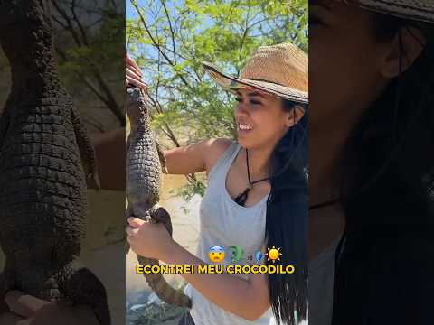 Encontrei meu crocodilo novamente 🐊😱#crocodile  #animais #pesca #roça #viral
