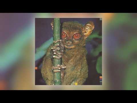 THUGWIDOW & Bruised Skies - Thrashing, Scared, Alone [Audio]