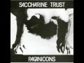 Saccharine Trust - I Have... 
