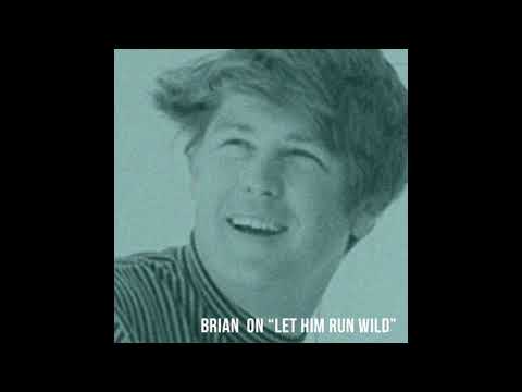 Brian Wilson on "Let Him Run Wild"