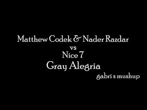 Nice 7 vs Matthew Codek & Nader Razdar - Gray Alegria (Gabri S Mushup)