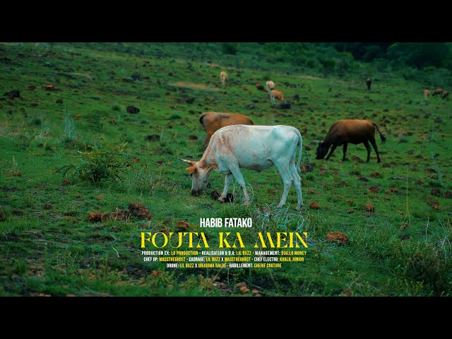 Habib Fatako Fouta Kamein (Clip Officiel 2026