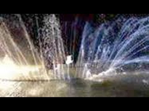 Dubstep Piano On the lake-Radioactive-William