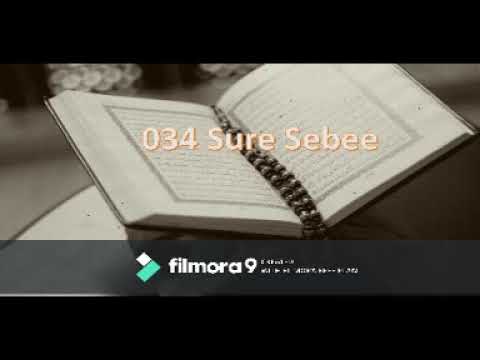 034 Sure Sebee