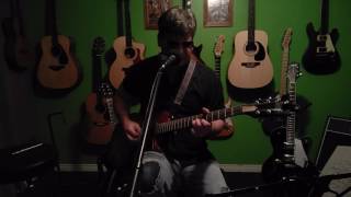 Little brown bird Muddy Waters cover