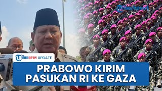 Rangkuman Hamas-Israel: 3 Warga Palestina Ditembak IDF saat Gencatan | Prabowo Kirim Pasukan ke Gaza