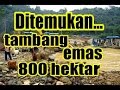 HEBOH!!! Temuan Ladang EMAS 800 Hektar Di ACEH Berita Terbaru HEBOH!!! Temuan Ladang EMAS 800 Hektar Di ACEH Berita Terbaru