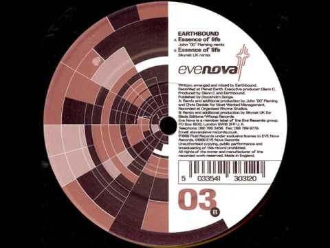 Earthbound - Essence Of Life (Skynet UK Remix) 1999