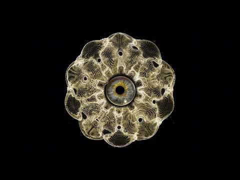 Oleg Makovskiy - Roa [LOKBLK003]