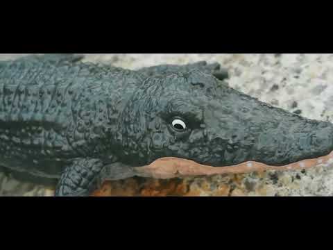 Prank Toys Crocodile Coming Fake Alligator Head Boat R/C Amazon