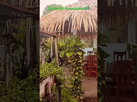 #canumã #amazonas