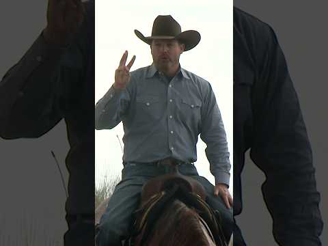 Three is a Magic Number With Horses #applythemethod