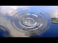 Hilary Hahn & Hauschka - Stillness