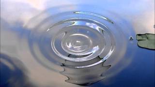 Hilary Hahn & Hauschka - Stillness