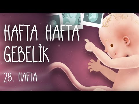 Hafta Hafta Gebelik 28. hafta