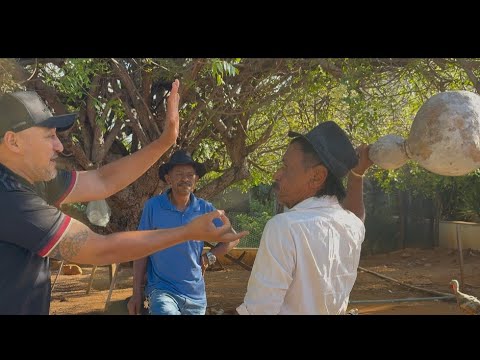 TIRINGA NÃO QUER LIBERAR O CLOUDFLARE | COMÉDIA SELVAGEM