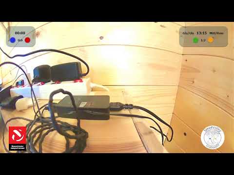 U21 ÖMS 2020 - Tag 2