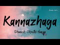 Kannazhaga Lyrics 3 AnirudhOfficial X Dhanush X Shruthi Tamil