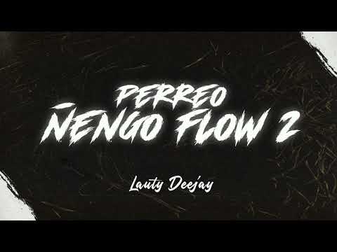 Perreo Ñengo flow 2 - Lauty Deejay (Elegante super fino TIK TOK)