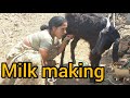 Viral Milk Making Funny