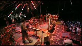 Flaming Lips - The Spark That Bled ("U.F.O.S AT THE ZOO" dvd)