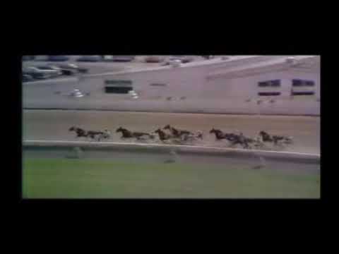 1982 Blue Bonnets BO SCOTS BLUE CHIP Prix d'Ete Elimination Catello Manzi