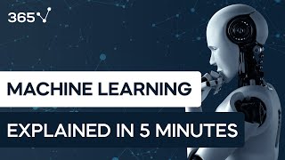 -6:16 Machine learning is a decision-making tool（00:05:47 - 00:06:17） - What Is Machine Learning? (Explained in 5 Minutes)