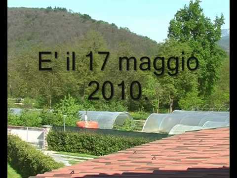 Esemplare unico di coltivatore di fragole a Peveragno