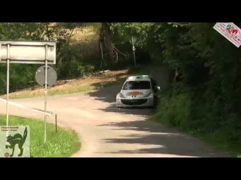 Rally di Modena 2015 show   Pure Sound HD