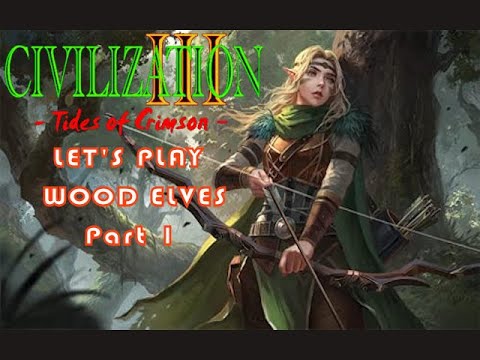 Tides of Crimson - Let's Play Over Explained - Wood Elves Pt. 1 - Toc Version 2.92