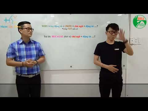 bai-01-cach-hoi-va-tra-loi-ly-do-va-so-luong-125