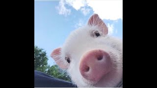 ИГРА Need for Drive - Open World Multiplayer Racing (ПОСТАВИЛ ТЮННИНГ)(ПОИГРАЛ В ГОНКУ)(ПРОИГРАЛ