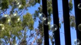 Summer Breeze Remix - Seals & Crofts