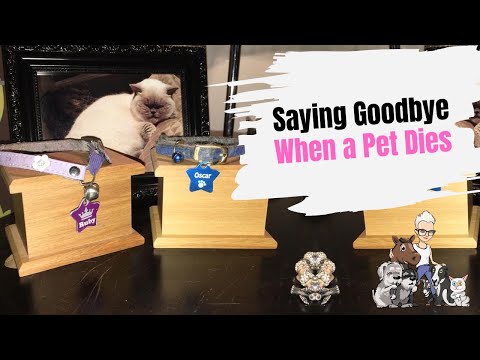 Saying Goodbye When a Pet Dies - Easing the Grief - YouTube