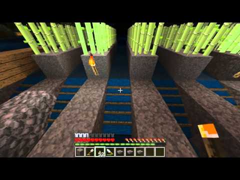 Competitive TerraFirmaCraft - EP: 5, (Day 1)