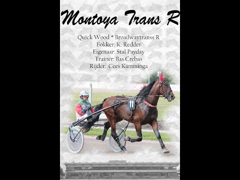 4. Montoya Transs R - Cees Kamminga