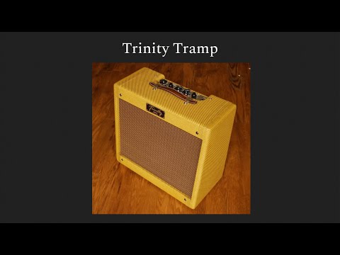 Trinity Tramp 1 x 12" Combo Tube Amp - Custom Built | Reverb