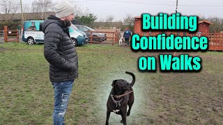 Building Confidence on Walks