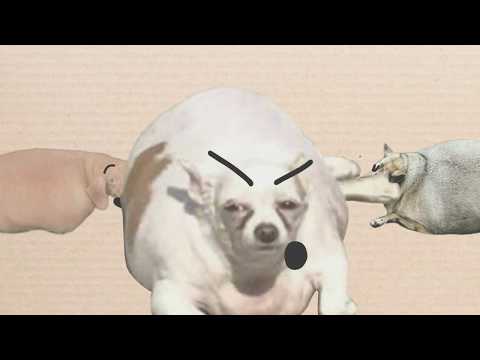 TROC5 — Challenge 4 : No Apologies