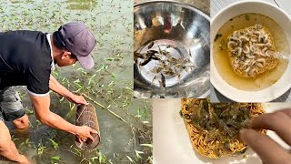 Đặt Lợp Tép Rong trong ao nhà và cái kết...