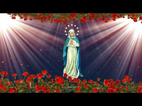 Virgem Santa De Estrelas Coroadas - Católica