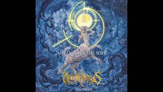 Music video thumbnail preview for AMIENSUS - Senses Amplified (Lyric Video) by Amiensus