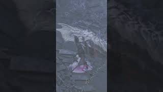 バグレウスさん地面でバタバタしている所を見つかる……