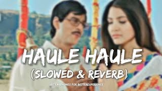Haule Haule | LoFi Mix by Jus Keys | Shah Rukh Khan, Anushka | Sukhwinder | Salim-Sulaiman, Jaideep