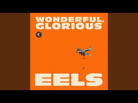 Accident Prone - EELS