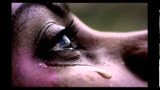 Miguel Gerena  (( Quien tiene la culpa))